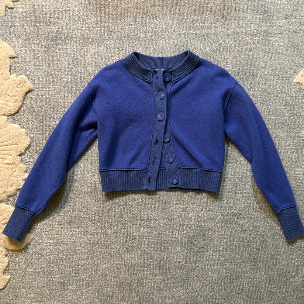 Maeve (by Anthropologie) Sutton Cardigan Sweater (Size XXS, Gently Worn)